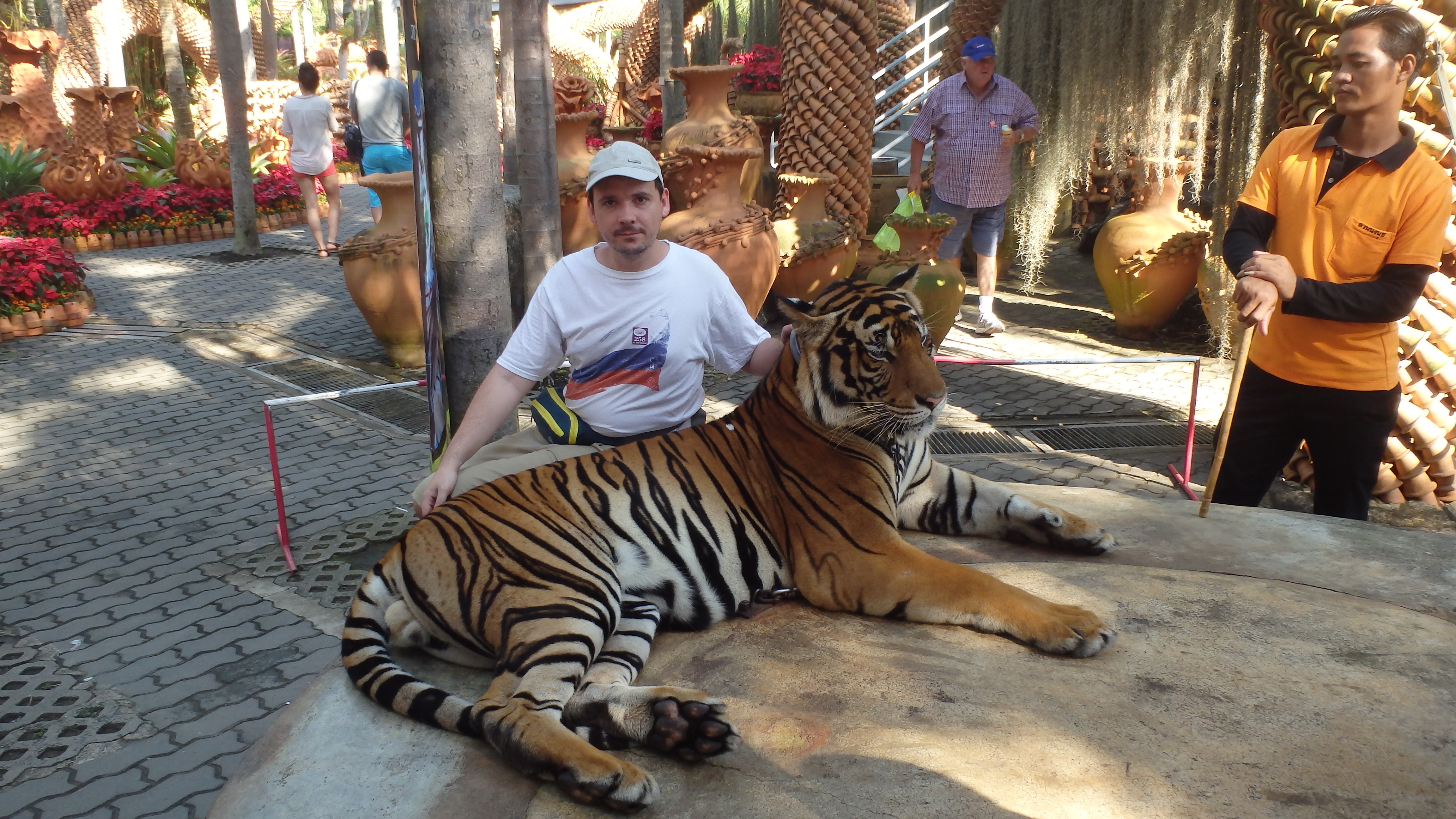 Я с тигром в саду Нонг Нуч в Паттайе